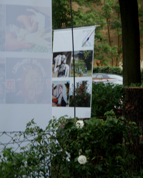 Marsz_PA_+wildRose-k