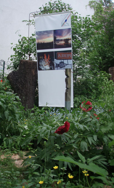 Marsz_Wasser_Fisch-k